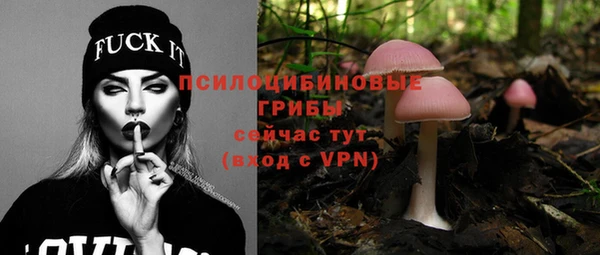 прущие грибы Нея