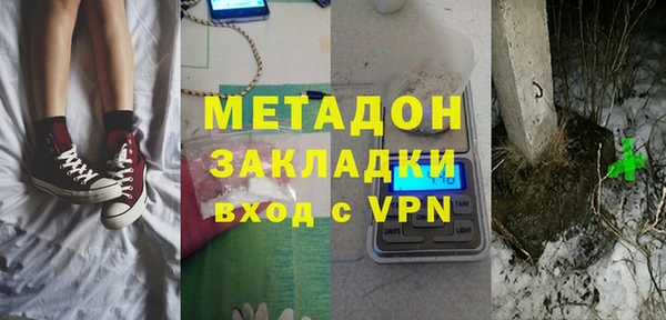 прущие грибы Нея