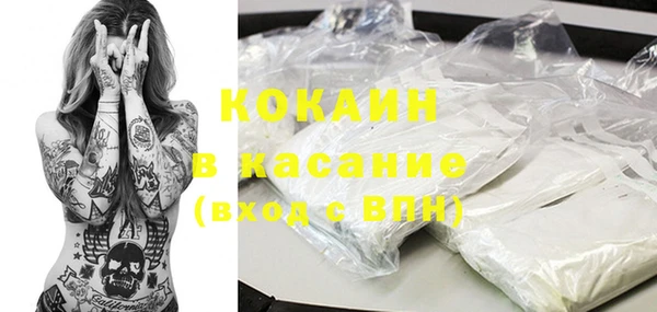 прущие грибы Нея